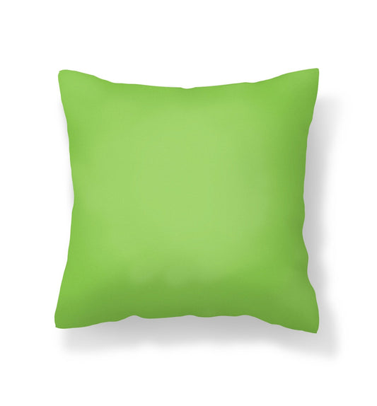 Lime Green Outdoor Pillow - Throw Pillows